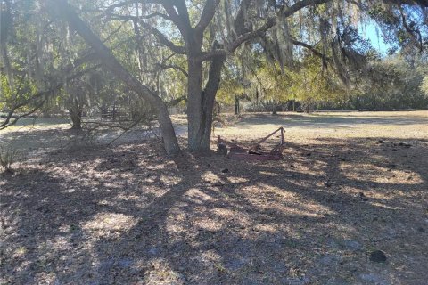 Land in Apopka, Florida № 235191 - photo 10