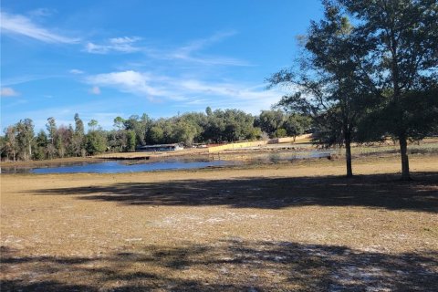 Land in Apopka, Florida № 235191 - photo 6