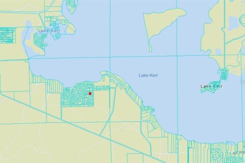 Land in Salt Springs, Florida № 2158708 - photo 4