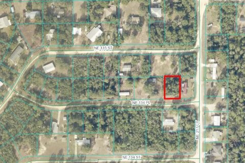 Land in Salt Springs, Florida № 2158708