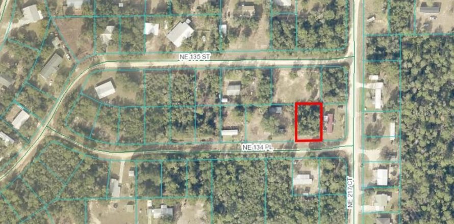Land in Salt Springs, Florida № 2158708