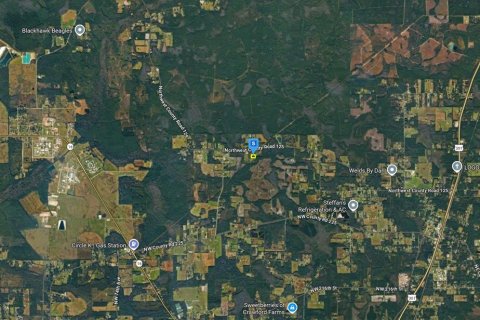 Land in Lawtey, Florida № 2386043 - photo 3