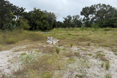 Terrain à Tampa, Floride № 2148743