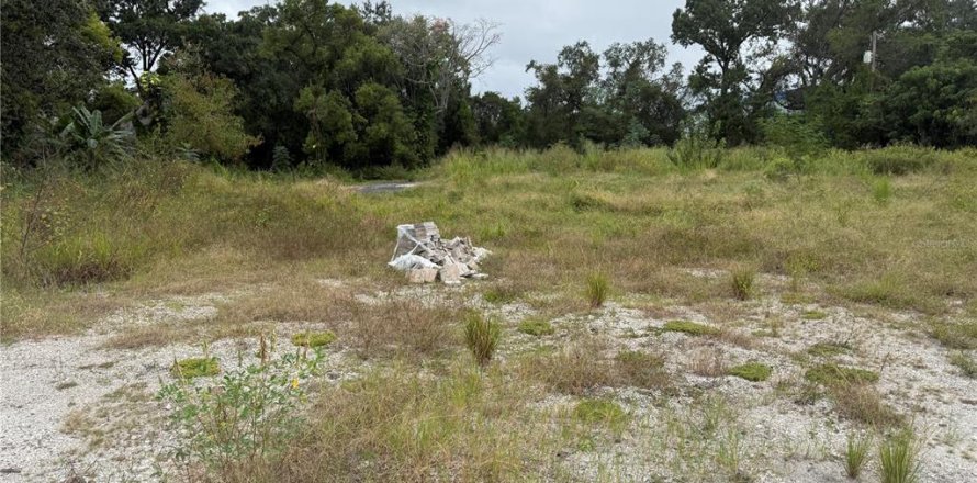 Terrain à Tampa, Floride № 2148743