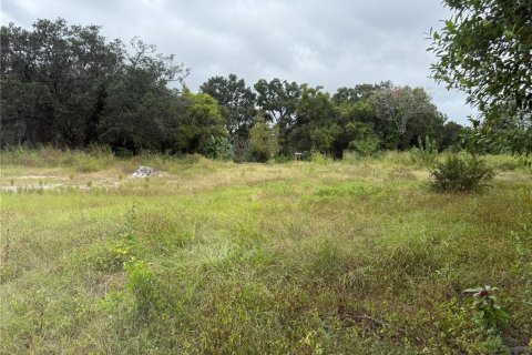 Terrain à vendre à Tampa, Floride № 2148743 - photo 2