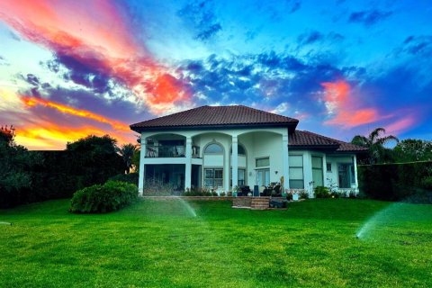 Villa ou maison à vendre à Mount Dora, Floride: 4 chambres, 407.38 m2 № 1755583 - photo 3