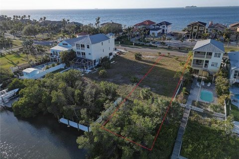 Terreno en venta en Apollo Beach, Florida № 1905598 - foto 4
