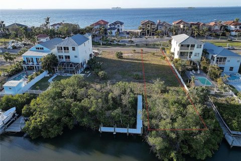 Terreno en venta en Apollo Beach, Florida № 1905598 - foto 5