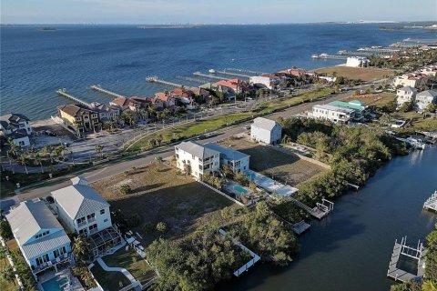Terreno en venta en Apollo Beach, Florida № 1905598 - foto 3