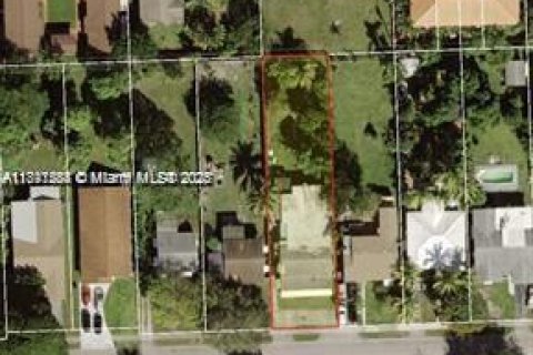 Снять в аренду виллу или дом в Холливуд, Флорида 241.08м2, № 1943757 - фото 13