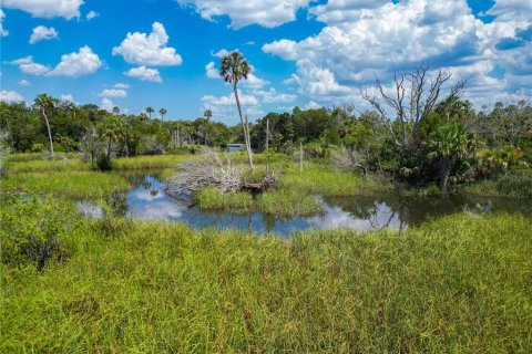 Condo in Crystal River, Florida, 1 bedroom  № 1690460 - photo 30