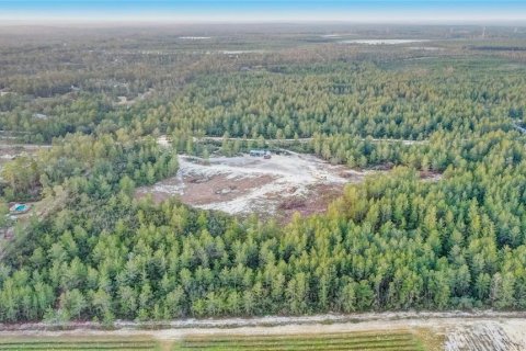 Купить земельный участок в Даннеллон, Флорида № 1553584 - фото 4