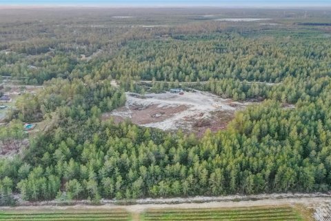 Купить земельный участок в Даннеллон, Флорида № 1553584 - фото 3