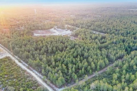 Купить земельный участок в Даннеллон, Флорида № 1553584 - фото 1