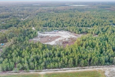 Купить земельный участок в Даннеллон, Флорида № 1553584 - фото 2