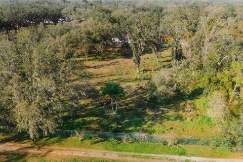 Terreno en venta en Tampa, Florida № 1805279 - foto 7