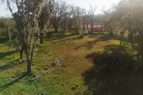 Terreno en venta en Tampa, Florida № 1805279 - foto 13