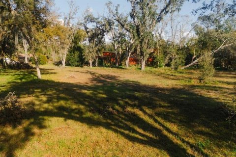Terreno en venta en Tampa, Florida № 1805279 - foto 15