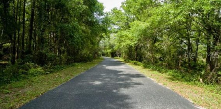 Terreno en Tampa, Florida № 1805279
