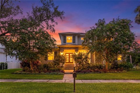House in Tampa, Florida 5 bedrooms, 481.7 sq.m. № 2223433