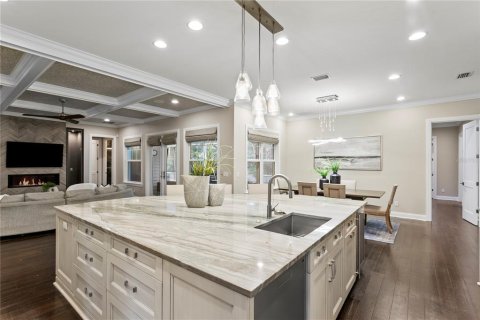 House in Tampa, Florida 5 bedrooms, 481.7 sq.m. № 2223433 - photo 15