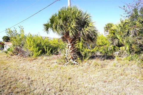 Land in Rotonda, Florida № 2161960 - photo 3