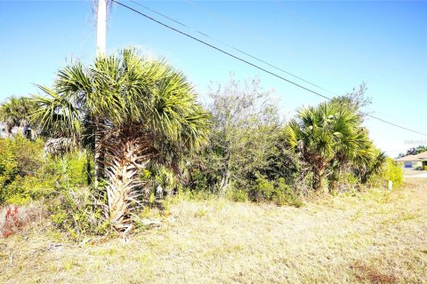 Land in Rotonda, Florida № 2161960 - photo 4