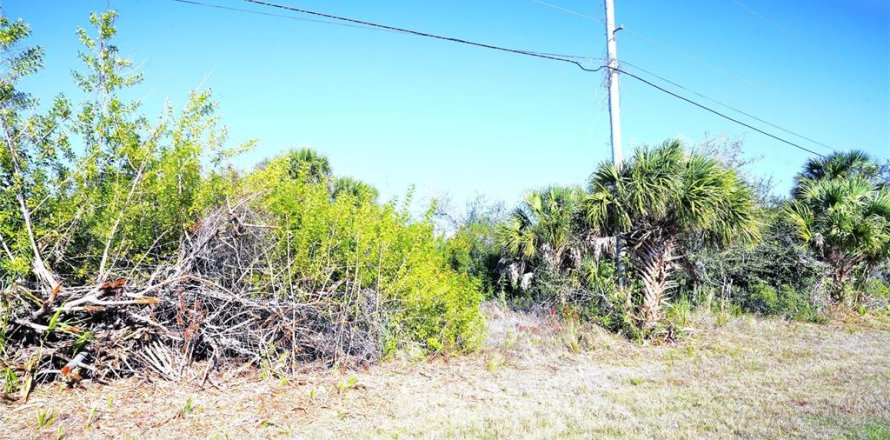 Land in Rotonda, Florida № 2161960