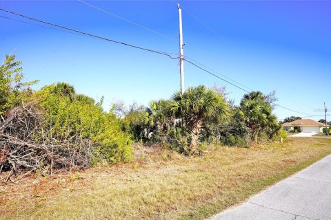 Land in Rotonda, Florida № 2161960 - photo 2