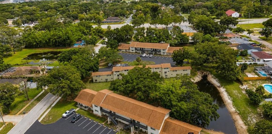 Condo à Clearwater, Floride, 1 chambre  № 2235468