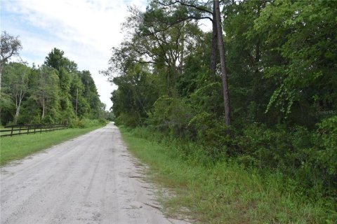 Terrain à vendre à Middleburg, Floride № 1870164 - photo 7