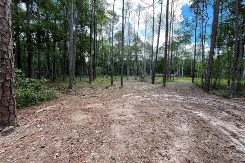 Terrain à vendre à Middleburg, Floride № 1870164 - photo 3