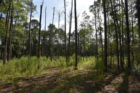 Terrain à vendre à Middleburg, Floride № 1870164 - photo 18