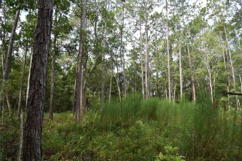 Terrain à vendre à Middleburg, Floride № 1870164 - photo 22