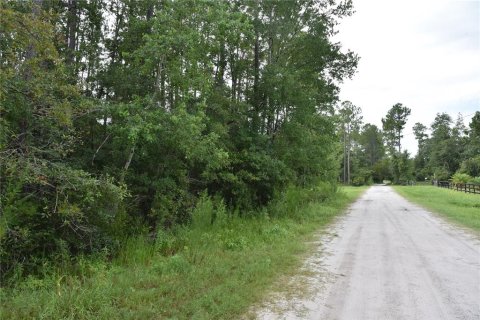 Terrain à vendre à Middleburg, Floride № 1870164 - photo 8