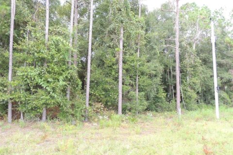 Land in Archer, Florida № 2160575 - photo 5
