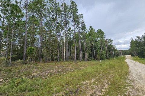 Land in Archer, Florida № 2160575