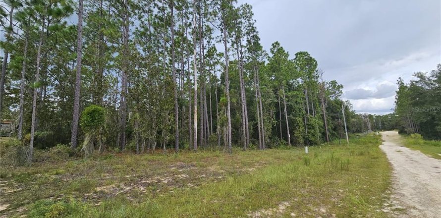 Land in Archer, Florida № 2160575