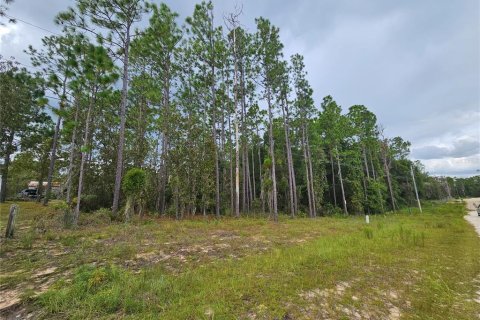 Land in Archer, Florida № 2160575 - photo 2