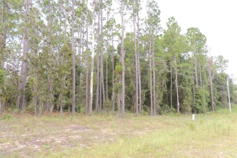 Land in Archer, Florida № 2160575 - photo 6