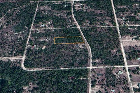 Land in Archer, Florida № 2160575 - photo 3