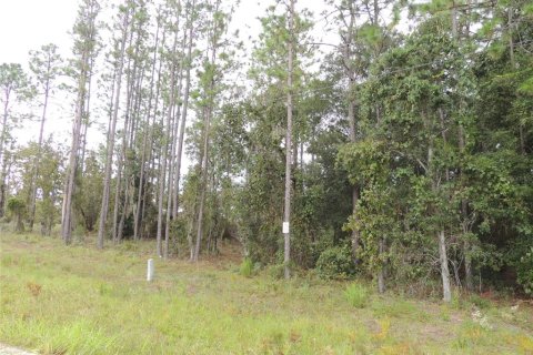 Land in Archer, Florida № 2160575 - photo 4