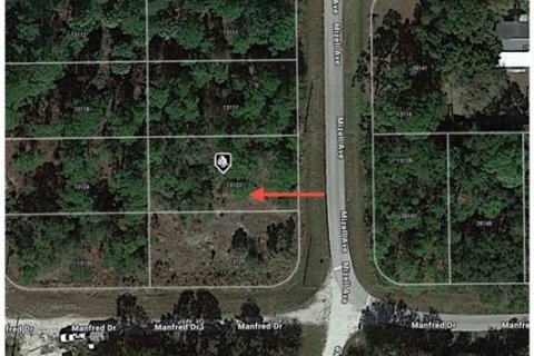 Land in Punta Gorda, Florida № 2161807