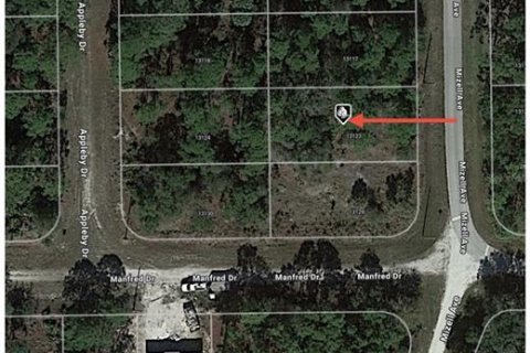 Land in Punta Gorda, Florida № 2161807 - photo 2