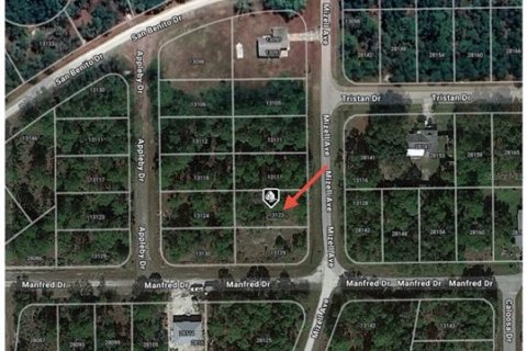 Land in Punta Gorda, Florida № 2161807 - photo 5