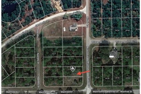 Land in Punta Gorda, Florida № 2161807 - photo 3
