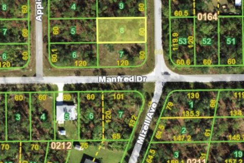 Land in Punta Gorda, Florida № 2161807 - photo 8