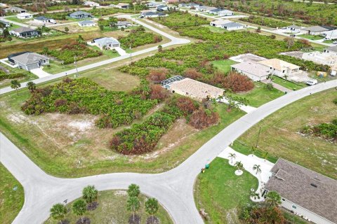 Land in Rotonda, Florida № 2161117 - photo 13