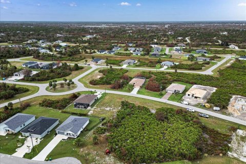 Land in Rotonda, Florida № 2161117 - photo 17