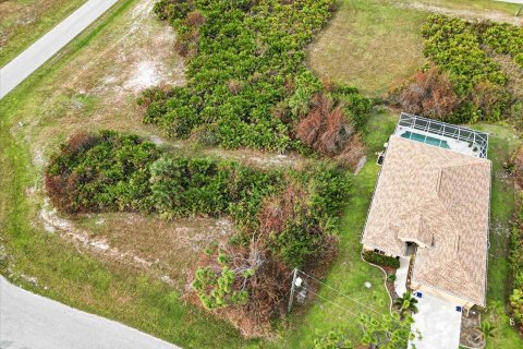 Land in Rotonda, Florida № 2161117 - photo 3